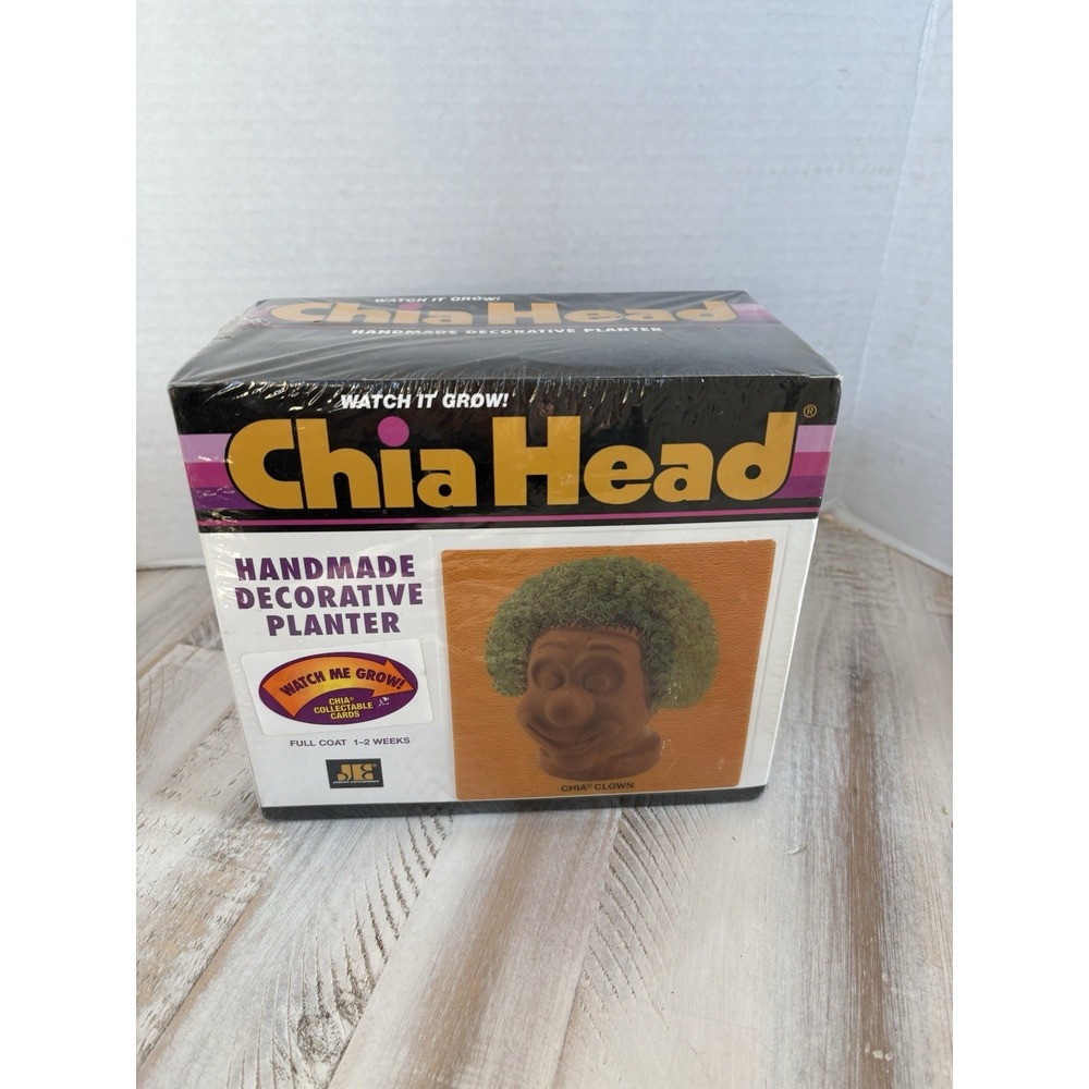 Chia Head Chia Clown Planter NIB Retro Handmade Ceramic Decorative Planter